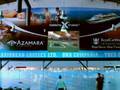 Muestra de Publicidad Multimedia, Terminal de Cruceros BsAs
