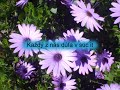Rieka Zivota - Vladca (Mighty to save in Slovakian) with lyrics