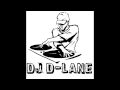 Ravers Paradise (DJ D-Lane Mix)