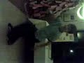ryan dancing ryan dancing