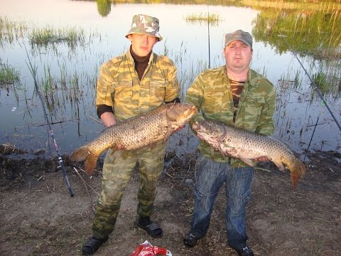 что нового в татарстане о рыбалке что нового в татарстане о рыбалке