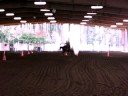 CMSA -RIFLE CLASS