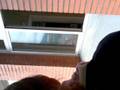videos de el estuche de taniaa