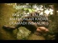 Maymunlarda Cinsellik
