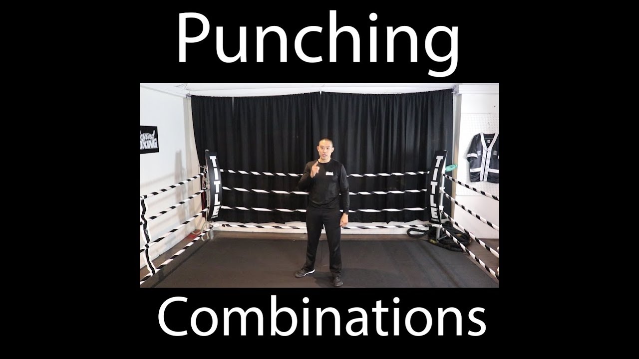 Instructional Video Series - Punch Combinations