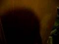 videos de Fan horror film