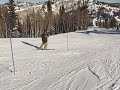 Skiing Powder Mountain, UT Skiing Powder Mountain, UT