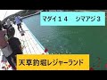 天草釣堀レジャーランド　釣行　令和2年9月27日　VOL21