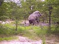 Elephant Heaven- A Mud Bath