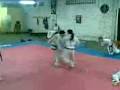 videos de grupo sidekick tania