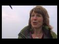videos de Blue Flags