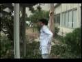 facultad medicina vall dhebron   el hospital según willy