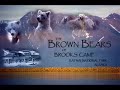 Brown Bears of Brooks Camp