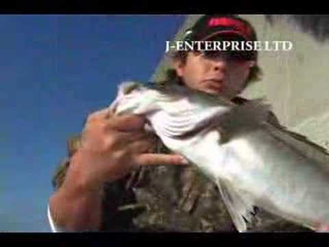 Japan sea bass fishing rapala ???? ???