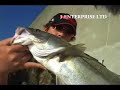 Japan sea bass fishing rapala ???? ???