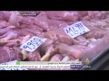 حركة بيع وشراء في السوق المركزي بالعاصمة التونسية -Views : 13