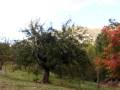 Casale indipendente nella valle del Liri ( 2a parte )