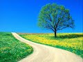 Spring (vocal mix)(lyrics) [Cafehee.nl] ♫