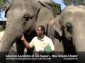 AAZK Elephant Chat