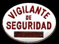 Ilegales en la seguridad privada 2