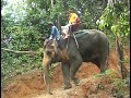 Passeio de Elefante e ATV na Thailandia