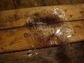Hot Wax Experiment #2