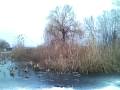 videos de lacul snagov omnia 640x480