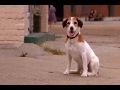 My Dog Skip - The Last Scene