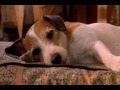 My Dog Skip - The Last Scene