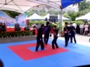 中華武術散打搏擊協會2008K-1優勝《排灣勇者》楊東雄，2007北京格鬥優勝《格鬥小天王》范仲杰率本會黑、褐帶好手黃國洋、鄭宇哲、張傑、阿岳、阿倫等做散打搏擊系列精采展演