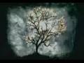 Halka filmi lanetlenme klibi -the ring-