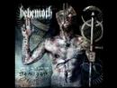 Behemoth - Conquer All