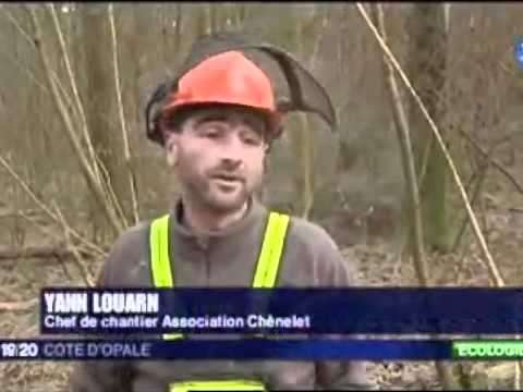 Voir la vidéo