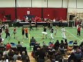 Bugg semi