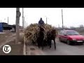 Romania\ Romania\