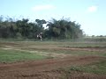 Varela 77