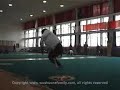 Wushu One family Wushu One family