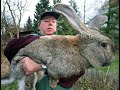 dziwne zwierzęta/cryptozoology