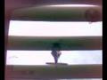 videos de Mercenaries 2 World in Flames Ewan's helecopter..