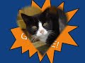 foto�s van gompie, oude en nieuwe foto�s
ga ook naar www.youtube.com/meiroe
dat is mijn vader