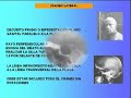 PROYECCIONES RADIOGRAFICAS DEL CRANEO