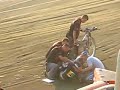 Karambol Povazhny Dobrucki Ko?ciecha Karambol Povazhny Dobrucki Ko?ciecha