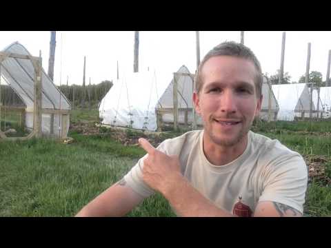 how to treat csa