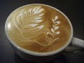 Barista Kyle Glanville in Brazil Barista Kyle Glanville in Brazil
