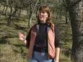 Hastings Reserve