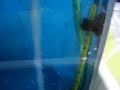 Bubble Etch Tank Bubble Etch Tank
