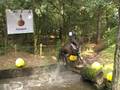 videos de Lian Vermunt Myrtilos