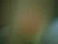 videos de YOU GOT 