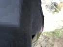 Nuova grotta...o nicchia?