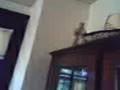 Re: The real miracle  image of our lady at our home.